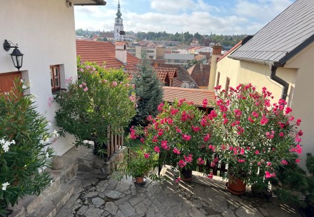 Výhled  z hotelu