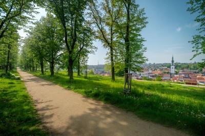 Lesopark Hrádek Třebíč
