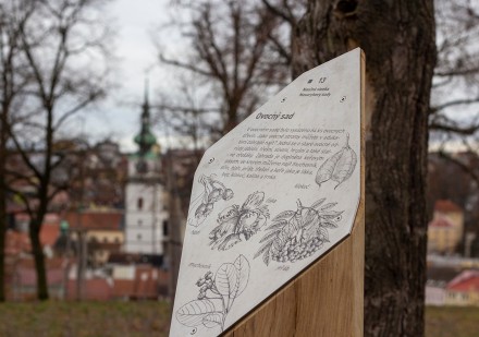Naučná stezka Masarykovy sady