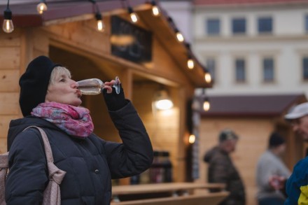 Svatomartinské slavnosti v Třebíči